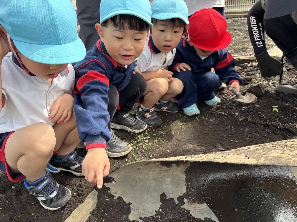 いろんな生き物見～つけたっ！！